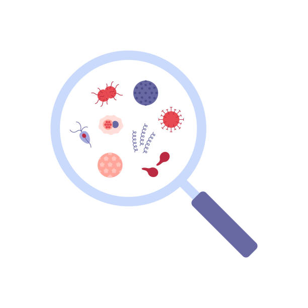 Transmission illustration